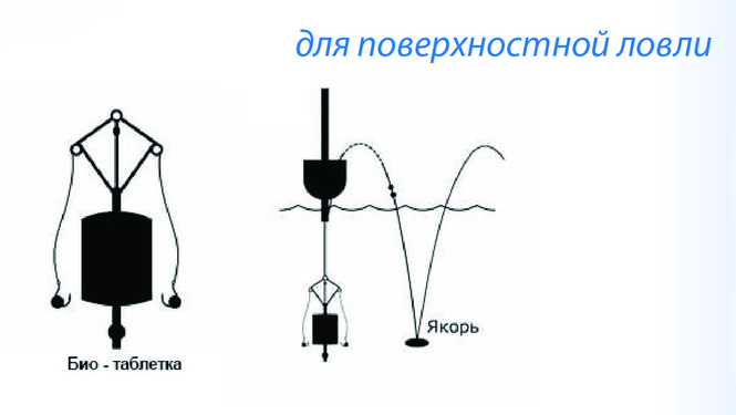 Глубина на толстолобика